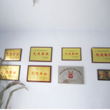 公司實(shí)力